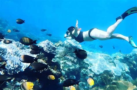 Paket Snorkeling Nusa Penida